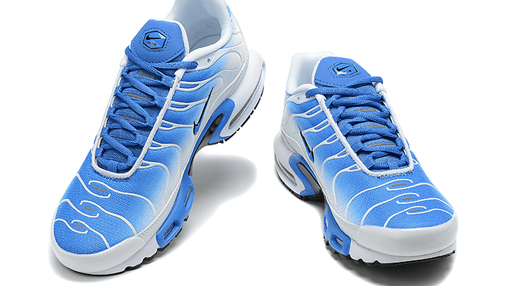 Air max plus TN trainers blue 2