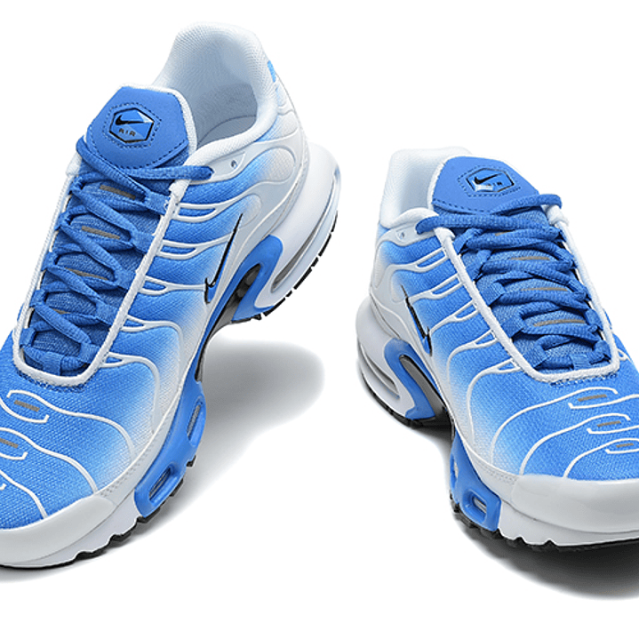 Air max plus TN trainers blue 2