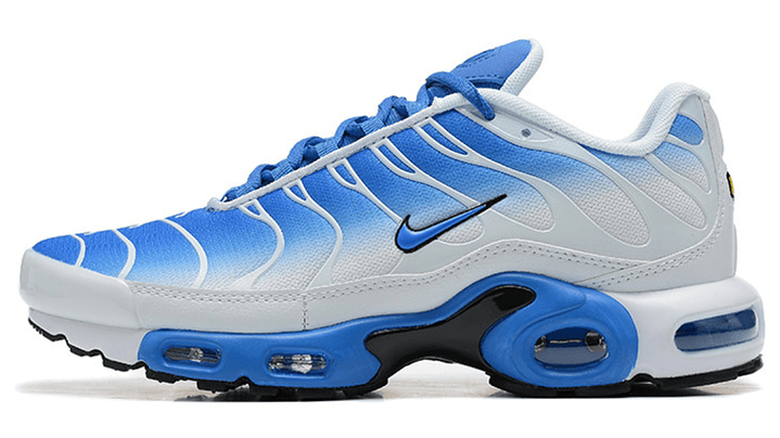 Air max plus TN trainers blue 1