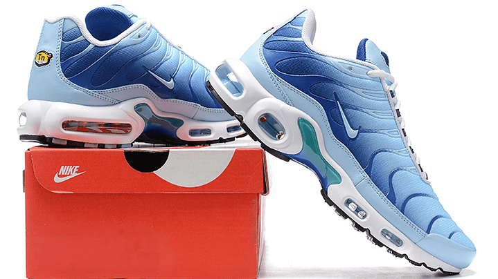 Air max plus TN blue ocean 5