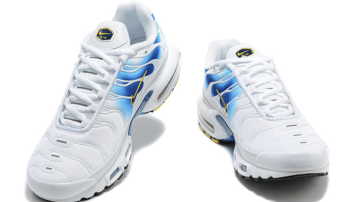 Air max plus TN spray paint 5