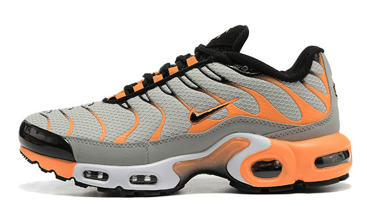 Air max plus TN wolf grey hot curry 1