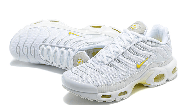 Air max plus TN white bone celebrity 4