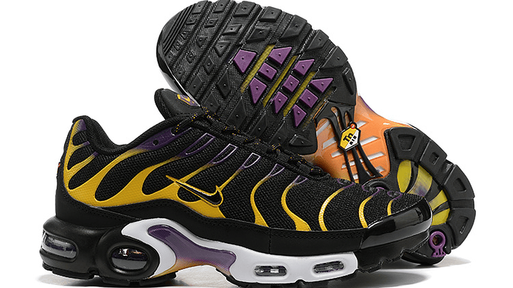 Air max plus TN carbiner 2