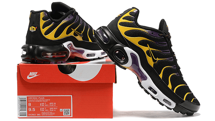 Air max plus TN carbiner 3