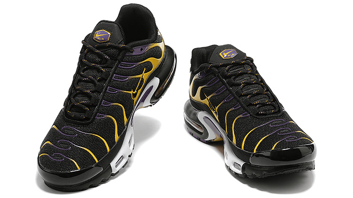 Air max plus TN carbiner 5