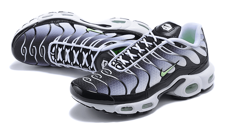 Air max plus TN silver mint 2