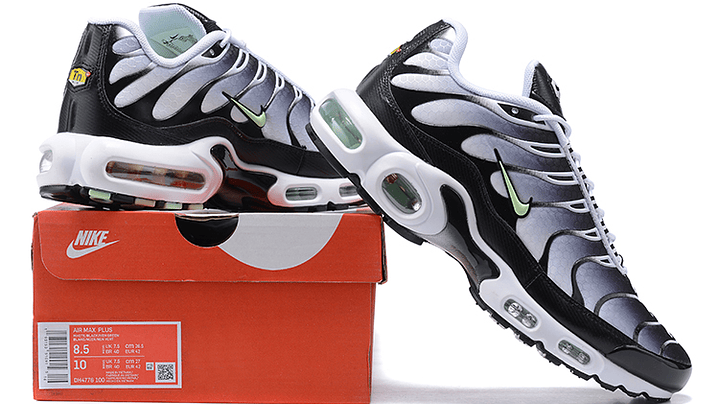 Air max plus TN silver mint 3