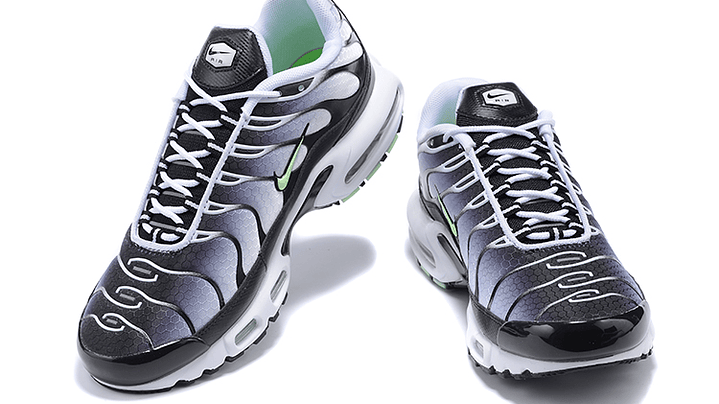 Air max plus TN silver mint 5