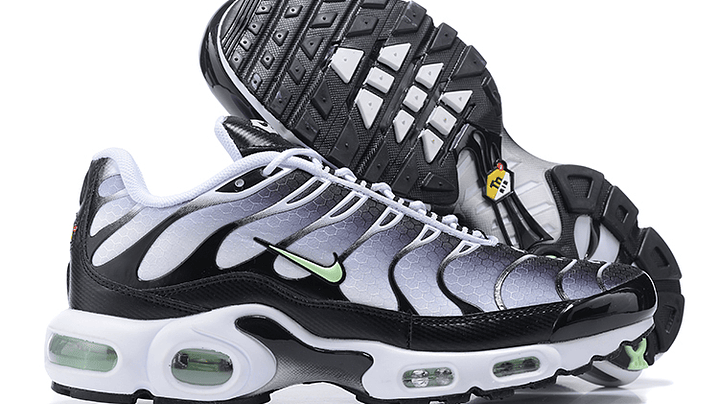 Air max plus TN silver mint 6