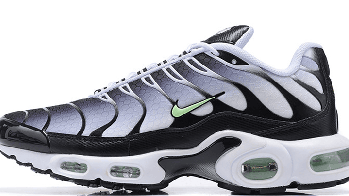 Air max plus TN silver mint 1