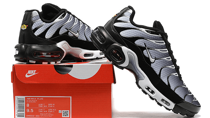 Air max plus TN smoke 2