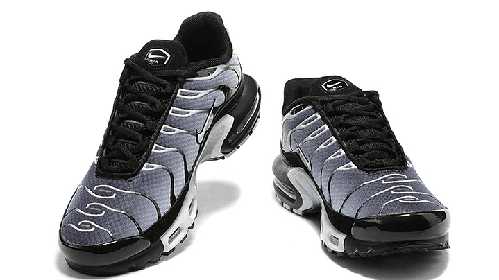 Air max plus TN smoke 5