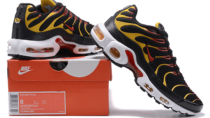 Air max plus TN reverse sunset 5