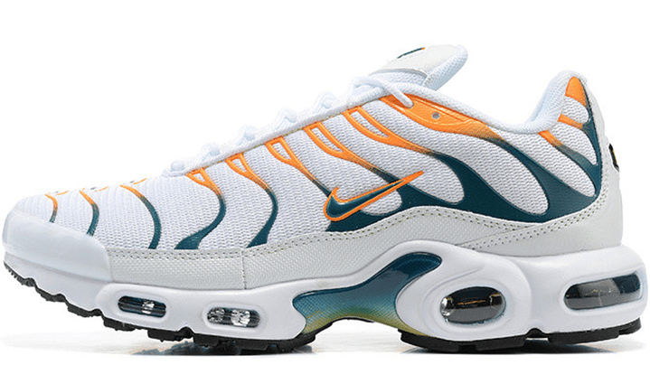 Air max plus TN hiking 1