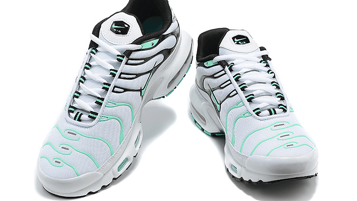 Air max plus TN hyper jade 5