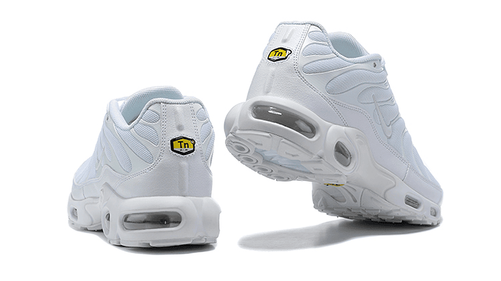 Air max plus TN triple white 2