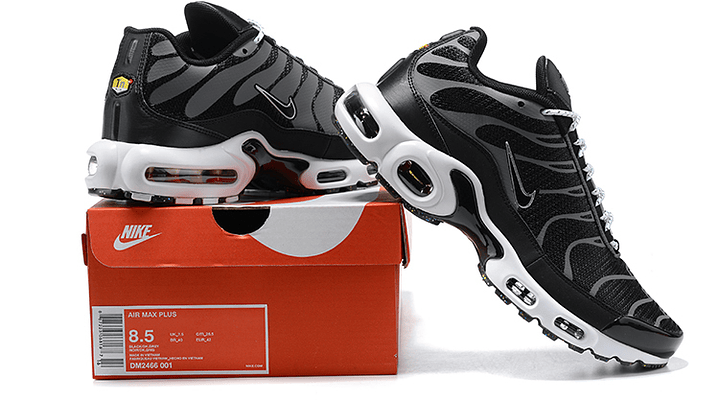 Air max plus TN frost white black 6