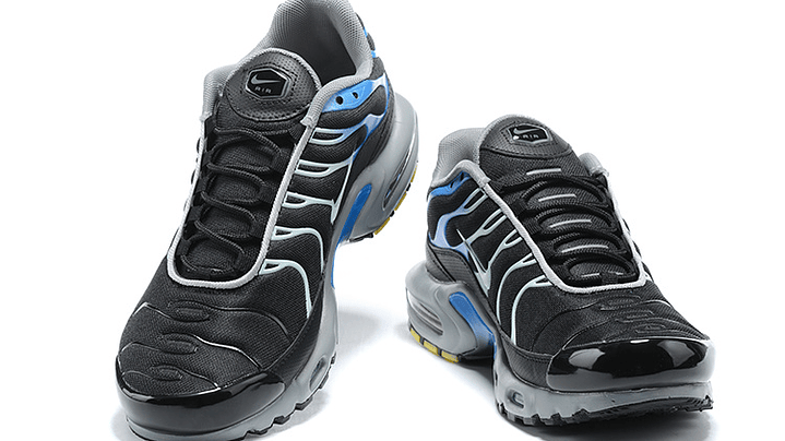 Air max plus TN reverse blue 3