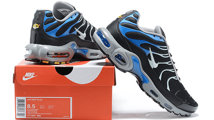 Air max plus TN reverse blue 6