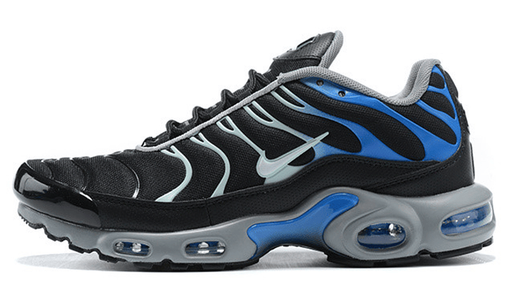 Air max plus TN reverse blue 1