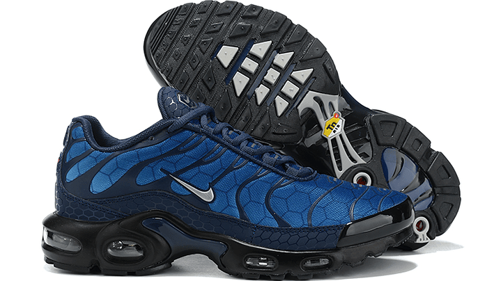 Air max plus TN blue hex 5
