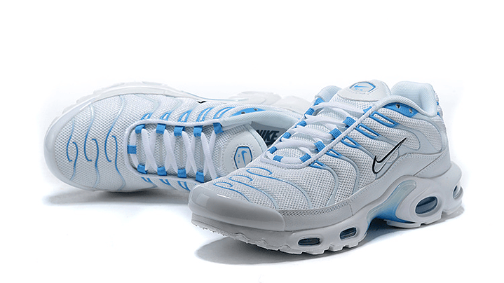 Air max plus TN white blue 5