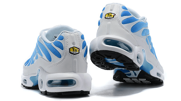 Air max plus TN battle blue 2