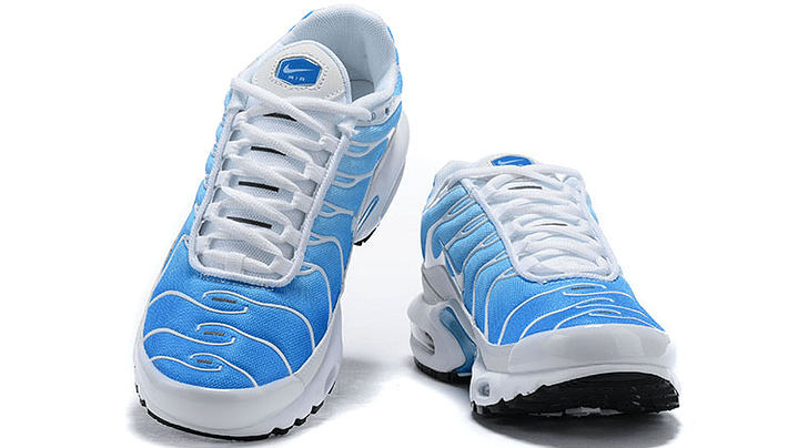 Air max plus TN battle blue 3