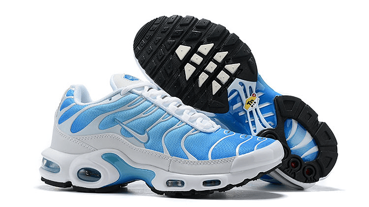 Air max plus TN battle blue 5