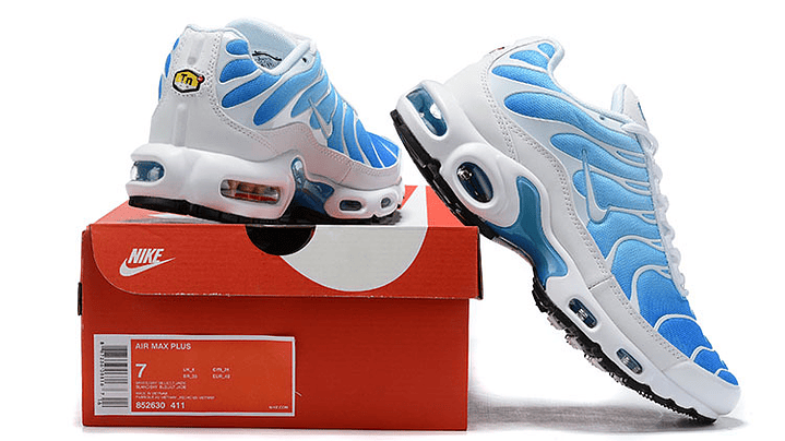 Air max plus TN battle blue 6