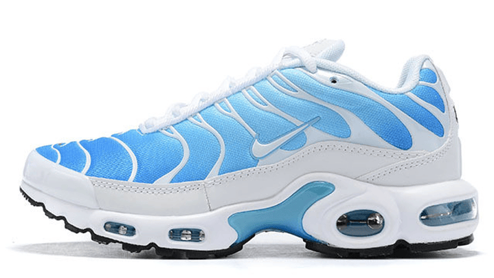 Air max plus TN battle blue 1