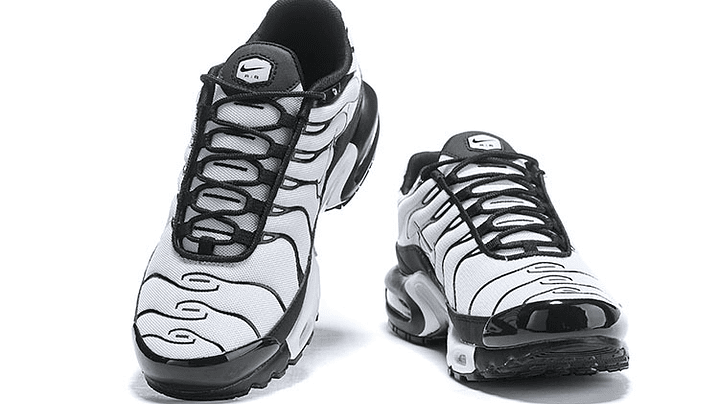 Air max plus Tn oreo 4