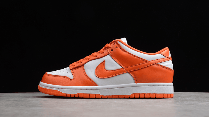 Dunk low syracuse 1
