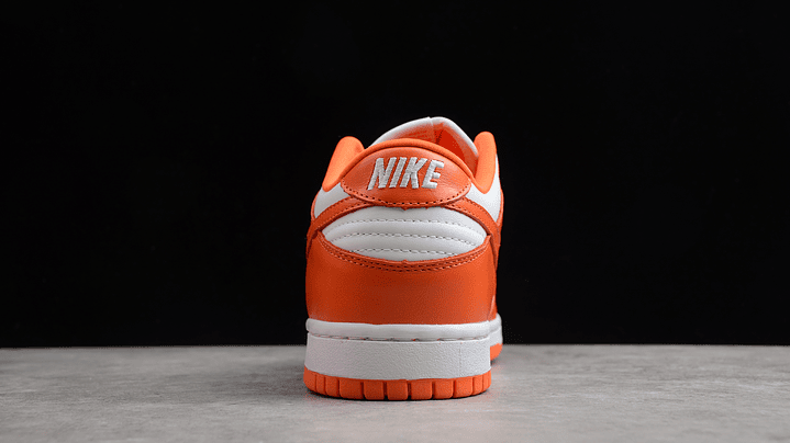Dunk low syracuse 4
