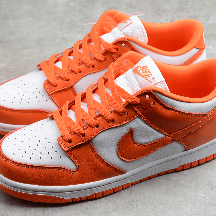 Dunk low syracuse 5