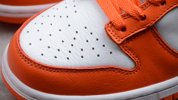 Dunk low syracuse 6