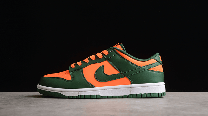 Dunk low hurricanes 1