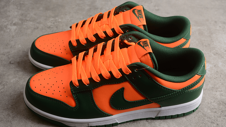 Dunk low hurricanes 5