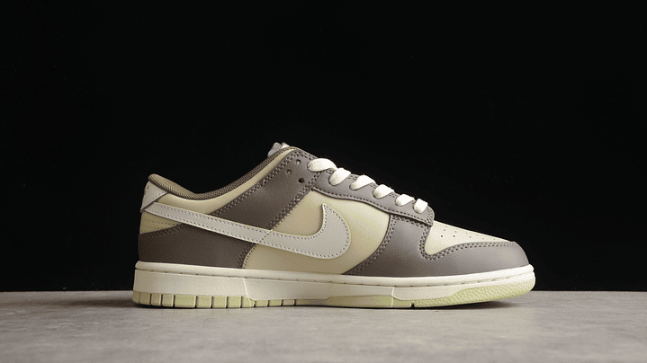 Dunk low velcro tongue 2