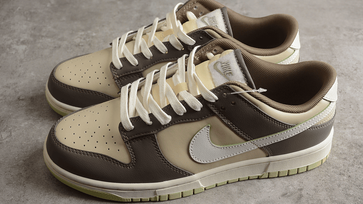 Dunk low velcro tongue 5