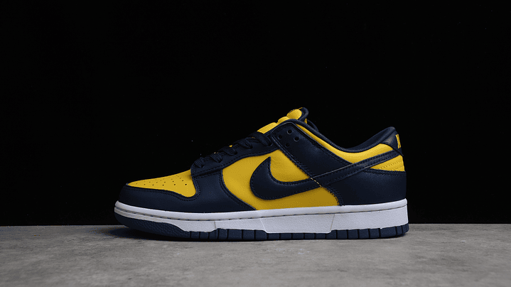 Dunk low michigan 1