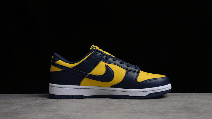 Dunk low michigan 2
