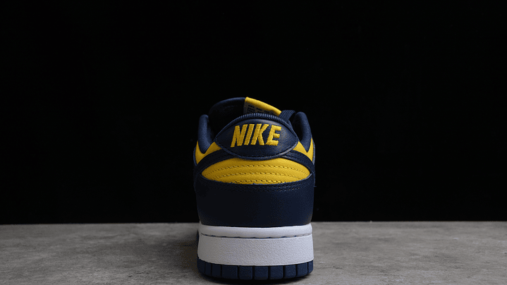 Dunk low michigan 4