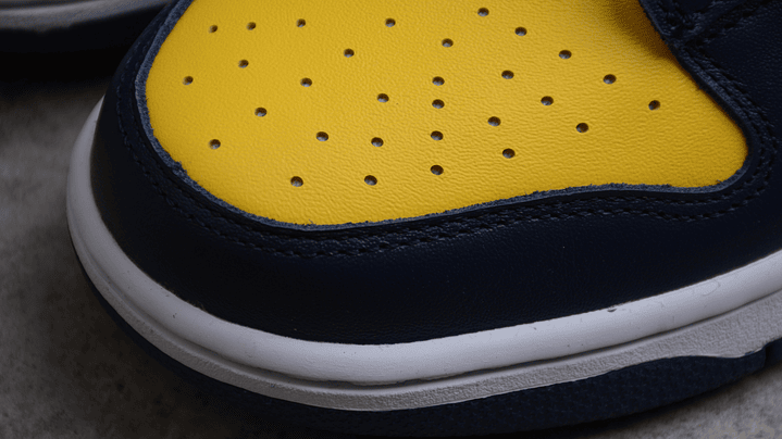 Dunk low michigan 6