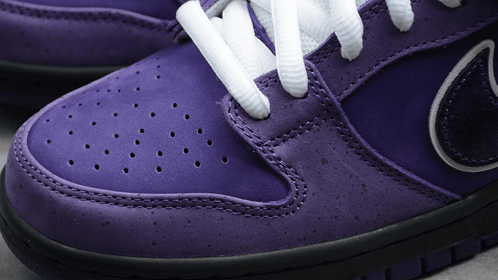 Dunk low sb x concepts purple lobster 6