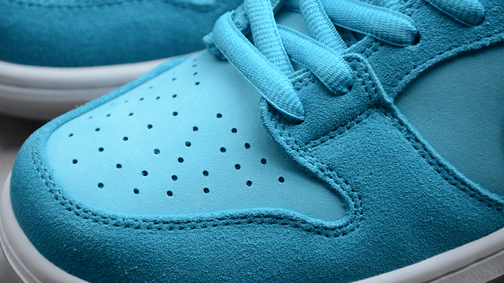 Dunk low sb blue fury 6