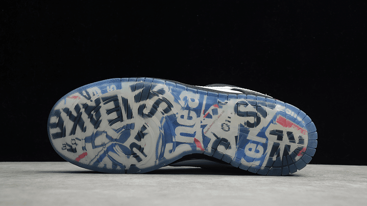 Dunk low sb panda pigeon 3