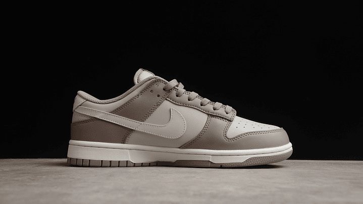 Dunk low bone beige 2