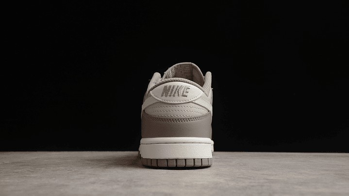 Dunk low bone beige 4